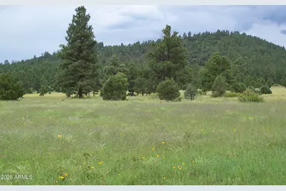 Lot 5 Red Cabin Ranch Unit II -- #5, Vernon, AZ 85940 - Photo 6