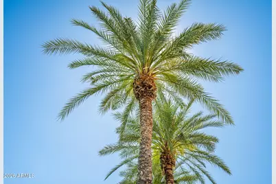 16840 S 36th Place, Phoenix, AZ 85048 - Photo 58