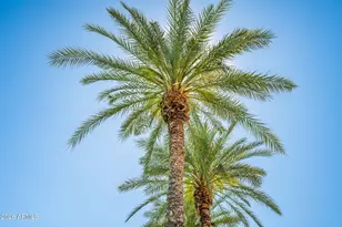 16840 S 36th Pl, Phoenix, AZ 85048 - Photo 58