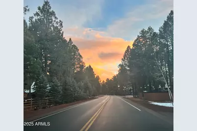 3361 W Hansen, Show Low, AZ 85901 - Photo 46