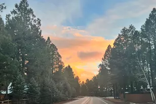 3361 W Hansen, Show Low, AZ 85901 - Photo 46