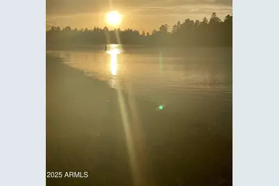 3361 W Hansen, Show Low, AZ 85901 - Photo 42