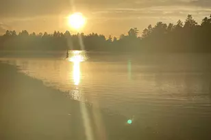 3361 W Hansen, Show Low, AZ 85901 - Photo 42