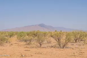 3154 W Cactus Blossom Ct, Benson, AZ 85602 - Photo 72