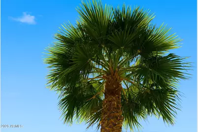 1643 N 22nd Place, Phoenix, AZ 85006 - Photo 30