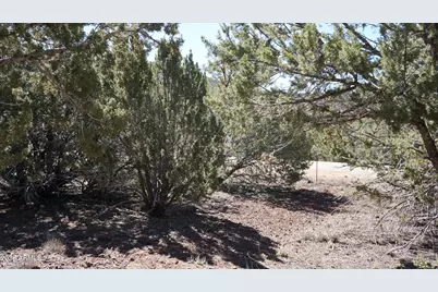 45 County Road #3323, Vernon, AZ 85940 - Photo 26