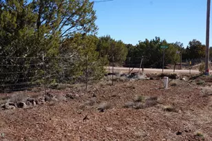 45 County Rd, Vernon, AZ 85940 - Photo 24