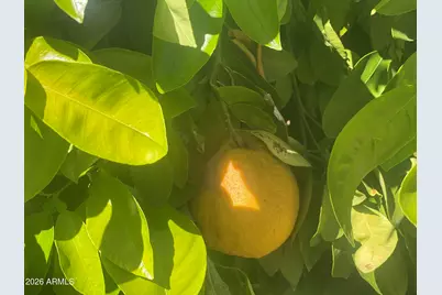 22603 N Las Lomas Lane, Sun City West, AZ 85375 - Photo 4