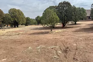 137 E Hilltop Dr, Young, AZ 85554 - Photo 62