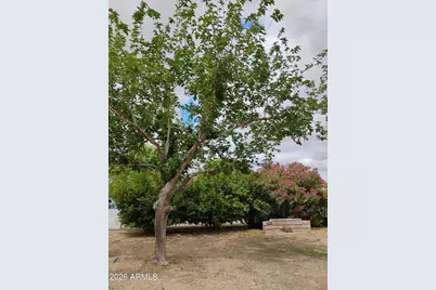 22744 E Carla Vista Drive, Mesa, AZ 85212 - Photo 48