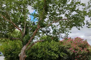 22744 E Carla Vista Dr, Mesa, AZ 85212 - Photo 48