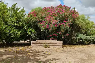 22744 E Carla Vista Dr, Mesa, AZ 85212 - Photo 50