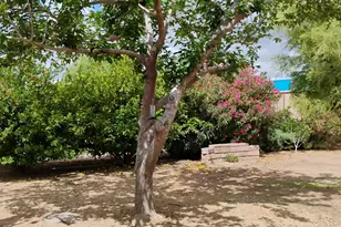 22744 E Carla Vista Dr, Mesa, AZ 85212 - Photo 48