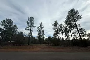 5961 E Starlight Ridge Rd, Lakeside, AZ 85929 - Photo 1