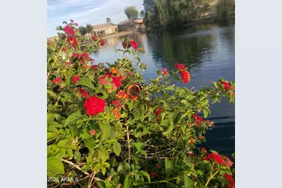 42441 W Blue Suede Shoes Lane, Maricopa, AZ 85138 - Photo 106
