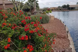 42441 W Blue Suede Shoes Ln, Maricopa, AZ 85138 - Photo 108