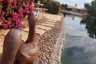 42441 W Blue Suede Shoes Ln, Maricopa, AZ 85138 - Photo 122