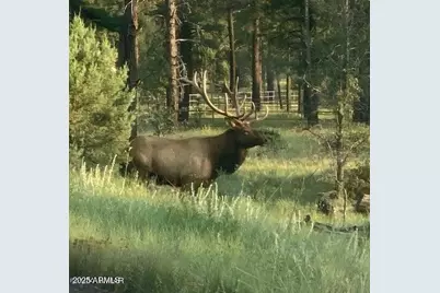 2601 Thunderbolt Circle #A14, Pinetop, AZ 85935 - Photo 36