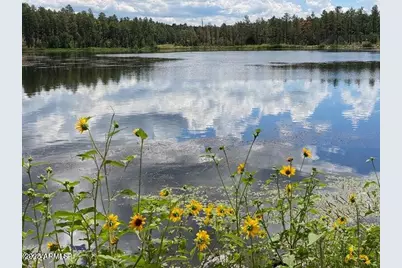 2601 Thunderbolt Circle #A14, Pinetop, AZ 85935 - Photo 42