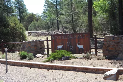 7856 Manzanita Court #119, Happy Jack, AZ 86024 - Photo 1