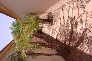 66 S Pepperwood Pl, Chandler, AZ - Photo 28