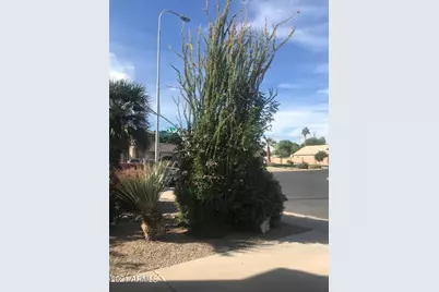 3924 E Yucca Street, Phoenix, AZ 85028 - Photo 2