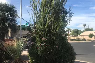 3924 E Yucca St, Phoenix, AZ 85028 - Photo 2