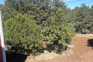 7502 Daisy Drive, Williams, AZ 86046 - Photo 56