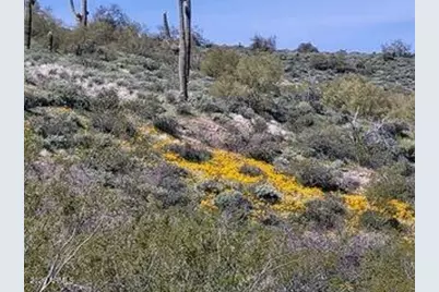 13318 N Goldfield Road #9, Fort McDowell, AZ 85264 - Photo 6