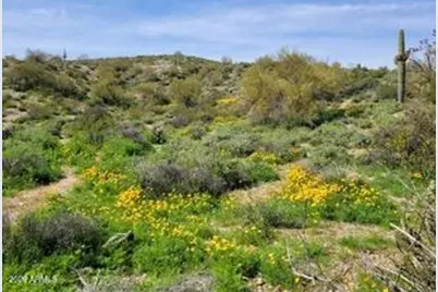 13318 N Goldfield Road #9, Fort McDowell, AZ 85264 - Photo 8