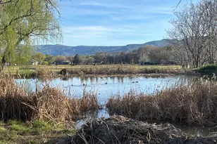 3363 W Middle Verde Rd, Camp Verde, AZ 86322 - Photo 6