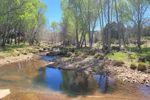 560 N Javelina Rd, Payson, AZ 85541 - Photo 46