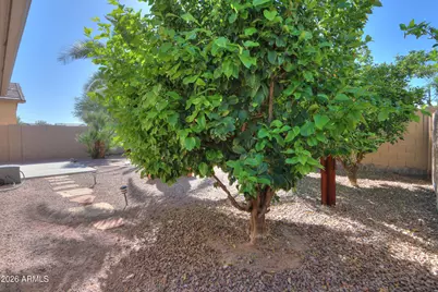 45085 W Mescal Street, Maricopa, AZ 85139 - Photo 34