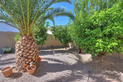 45085 W Mescal Street, Maricopa, AZ 85139 - Photo 36