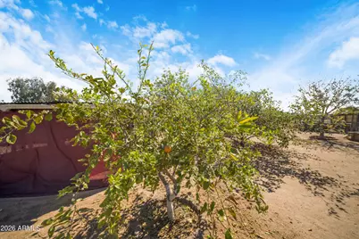13105 S 209th Lane, Buckeye, AZ 85326 - Photo 36