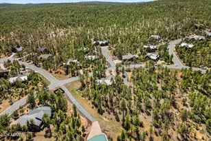 1150 W Snow Creek Trail, Show Low, AZ 85901 - Photo 42