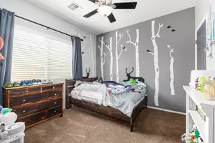 8924 N 182nd Ave, Waddell, AZ 85355 - Photo 28
