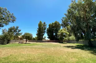 5337 E Thunderbird Rd, Scottsdale, AZ 85254 - Photo 12