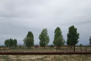 3645 E Robbs Rd, Willcox, AZ 85643 - Photo 10