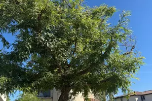 9410 S 34th Ln, Laveen, AZ 85339 - Photo 14