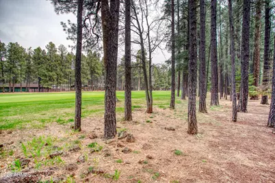 7414 Geronimo Road, Pinetop, AZ 85935 - Photo 64