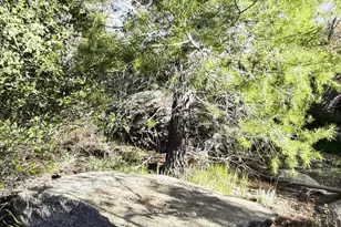 17520 W Foothill Rd, Yarnell, AZ 85362 - Photo 24