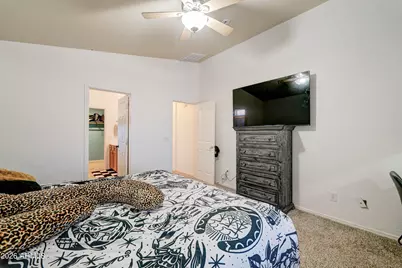 35510 N Belgian Blue Court, San Tan Valley, AZ 85143 - Photo 10