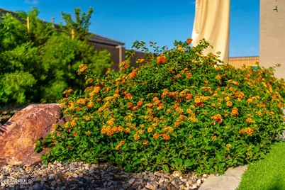 22231 N Daniel Drive, Maricopa, AZ 85138 - Photo 24