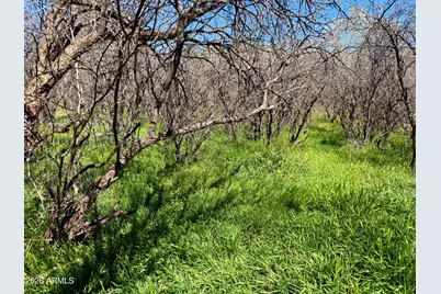 5360 N Kramer Drive #425, Rimrock, AZ 86335 - Photo 8