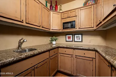 41595 N 110th Way, Scottsdale, AZ 85262 - Photo 16