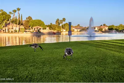 7034 W Rose Garden Lane, Glendale, AZ 85308 - Photo 46