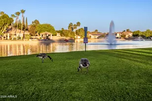 7034 W Rose Garden Ln, Glendale, AZ 85308 - Photo 46