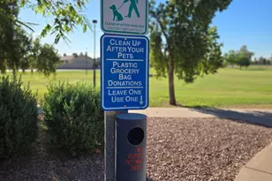 2232 W Ironwood Dr, Chandler, AZ 85224 - Photo 30