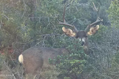 50 Forest Lane #14, Sedona, AZ 86336 - Photo 28